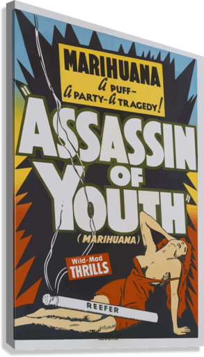 Assassin of Youth Vintage Movie Poster